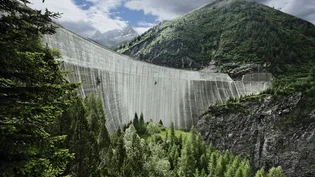 Biodiversité