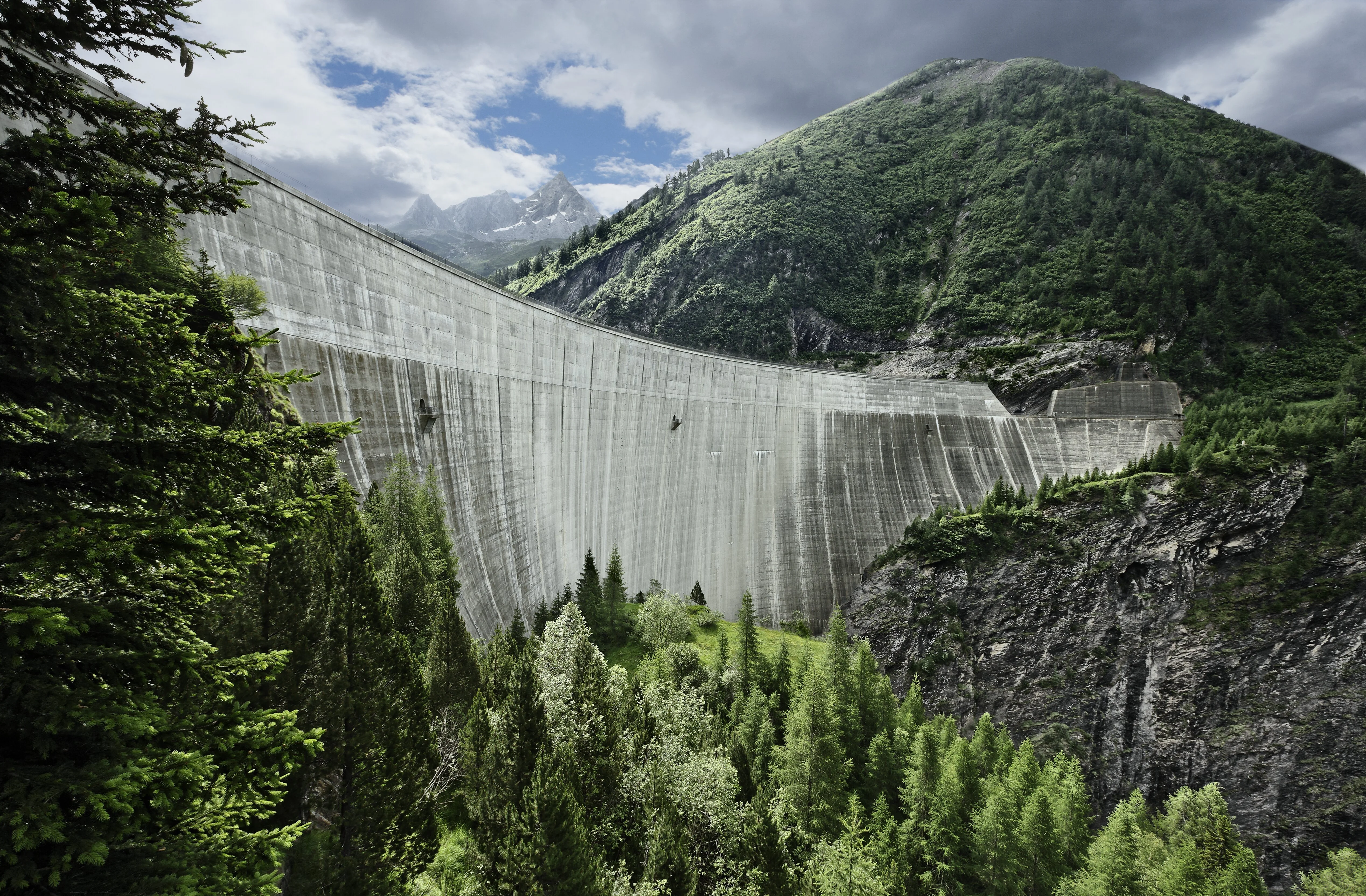 Biodiversité